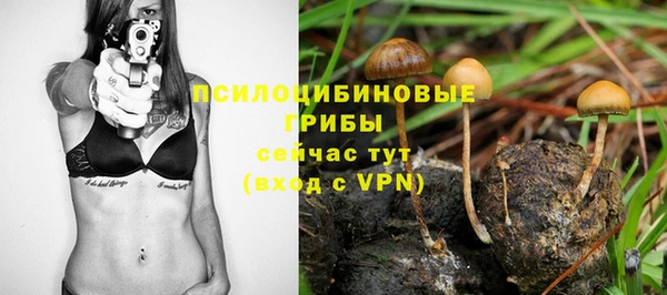 экстази Белокуриха