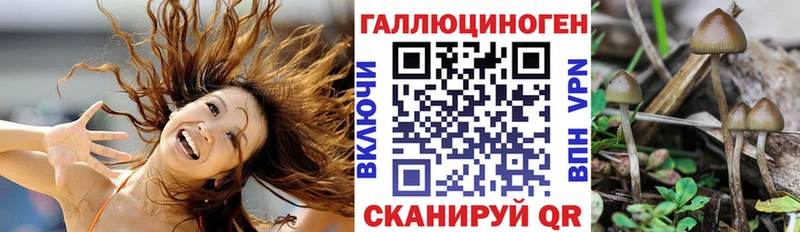 Псилоцибиновые грибы мухоморы  нарко площадка телеграм  Жуковка 